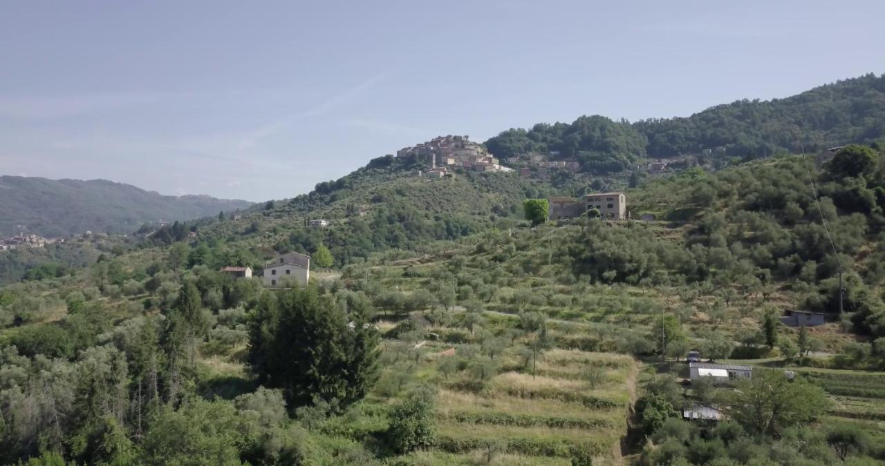 Luxury Villa In Tuscany - Casa Di Nonnas Pescia Luaran gambar